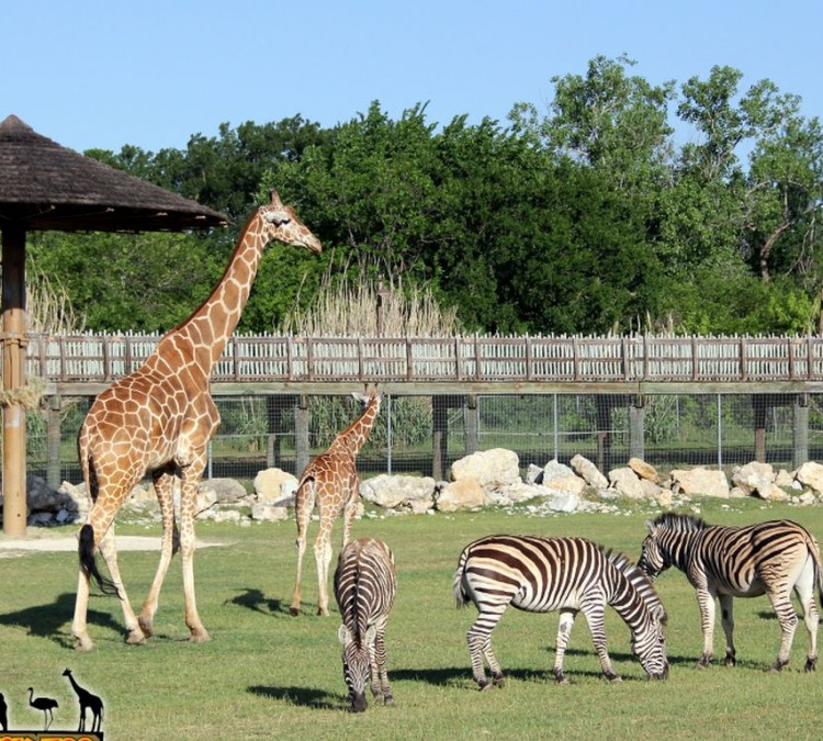 Frank Buck Zoo (Gainesville,&nbspTX)